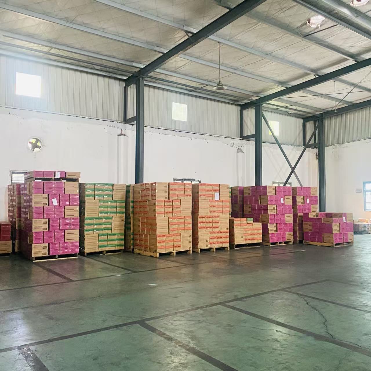 3000 cartons of exported beverages neatly stacked in warehouse for Philippines shipment.jpg